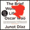 The Brief Wondrous Life of Oscar Wao (Unabridged) audio book by Junot Daz