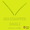 Grasshopper Jungle (Unabridged) audio book by Andrew Smith