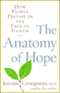 The Anatomy of Hope: How People Prevail in the Face of Illness audio book by Jerome Groopman, M.D.