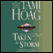 Taken by Storm (Unabridged) audio book by Tami Hoag