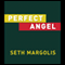Perfect Angel (Unabridged) audio book by Seth Margolis