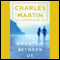 The Mountain Between Us: A Novel (Unabridged) audio book by Charles Martin
