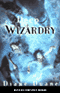 Deep Wizardry: Young Wizard Series, Book 2 (Unabridged) audio book by Diane Duane