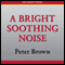A Bright Soothing Noise (Unabridged) audio book by Peter Brown
