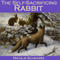The Self-Sacrificing Rabbit (Unabridged) audio book by Nicolai Schedrin