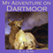 My Adventure on Dartmoor (Unabridged) audio book by A. J. Alan