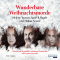 Wunderbare Weihnachtsmorde audio book by Hkan Nesser, Helene Tursten, Anne B. Ragde