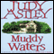Muddy Waters (Unabridged) audio book by Judy Astley
