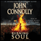 The Burning Soul: A Charlie Parker Mystery (Unabridged) audio book by John Connolly