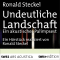 Undeutliche Landschaft audio book by Ronald Steckel