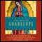 Our Lady of Guadalupe: Mother of the Civilization of Love (Unabridged) audio book by Carl Anderson, Eduardo Chavez