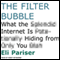 The Filter Bubble: What the Internet Is Hiding from You (Unabridged) audio book by Eli Pariser