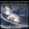 Iron Gray Sea: Destroyermen, Book 7 (Unabridged) audio book by Taylor Anderson