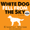White Dog Fell from the Sky (Unabridged) audio book by Eleanor Morse