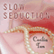 Slow Seduction: Struck by Lightning Series, Book 2 (Unabridged) audio book by Cecilia Tan