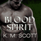 Blood Spirit: Sons of Navarus, Book 3 with the Short Story 