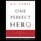One Perfect Hero: Jesus and the Five-Dimensional Narrative audio book by M. E. Hawke