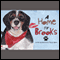 A Home for Brooks (Unabridged) audio book by Stacey Adams