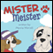 Mister Meister (Unabridged) audio book by Marcia Morrell