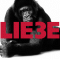 Liebe 3 audio book by Hagen Rether