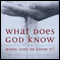 What Does God Know and When Does He Know It?: The Current Controversy over Divine Foreknowledge (Unabridged) audio book by Millard J. Erickson