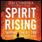 Spirit Rising: Tapping into the Power of the Holy Spirit (Unabridged) audio book by Jim Cymbala, Jennifer Schuchmnan