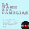 La dame aux camlias audio book by Alexandre Dumas Fils