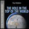 The Hole in the Top of the World audio book by Fay Weldon