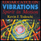 Edgar Cayce on Vibrations: Spirit In Motion audio book by Kevin J Todeschi