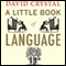 A Little Book of Language