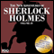 The New Adventures of Sherlock Holmes: The Golden Age of Old Time Radio Shows, Vol. 29