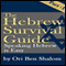 Hebrew Survival Guide Part 1: Speaking Hebrew Is Easy