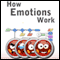 How Emotions Work: In Humans and Computers