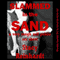 Slammed in the Sand: A Very Rough MFF Threesome Public Sex Short (Harsh Sex Encounters)