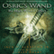 The High-Wizard's Hunt: Osric's Wand, Book Two