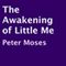 The Awakening of Little Me