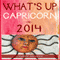 What's Up Capricorn in 2014