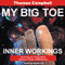 My Big TOE, Book 3: Inner Workings