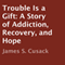 Trouble is a Gift: A Story of Addiction, Recovery, and Hope
