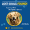 Lost Souls: Found! Inspiring Stories About Golden Retrievers