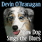 Show Dog Sings the Blues