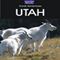 Adventure Guide to Utah