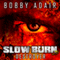 Slow Burn: Destroyer, Book 3