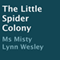 The Little Spider Colony