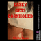Casey Gets Cornholed: An Erotic Tale of First Anal Sex with a Stranger
