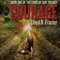 Courage: The Lion's of God Trilogy, Volume 1