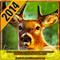 Deer Hunter 2014 Game: How to Download for Kindle Fire HD HDX + Tips