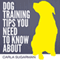 Dog Training Tips You Need to Know About