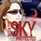 When the Sky Was Protected: Grace Bryant, Federal Air Marshal, Book 1