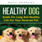 Healthy Dog: Guide for Long and Healthy Life for Your Revered Pet